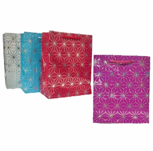[PT26932] @(DK-714)Bolsa regalo tornasol pequeña 18x21 paquete X12 (SLT2024)