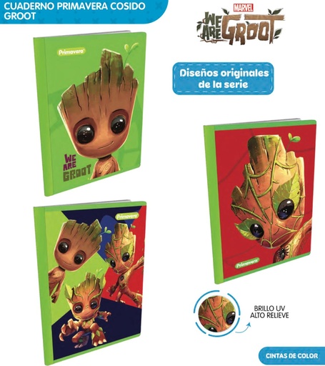 [P3829] Cuad cosido prim. 100 H cuadro groot