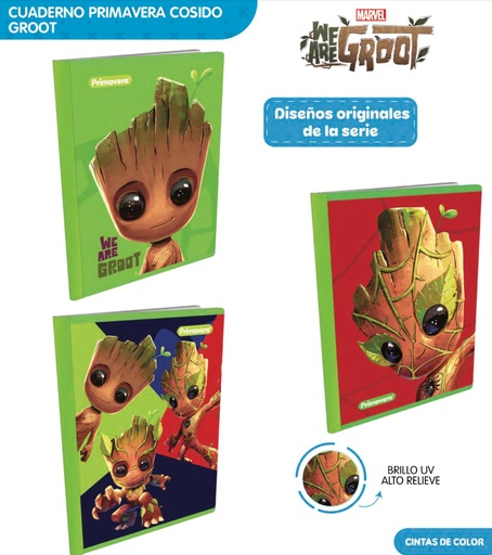 [P3844] Cuad cosido prim. 100 H rayas groot